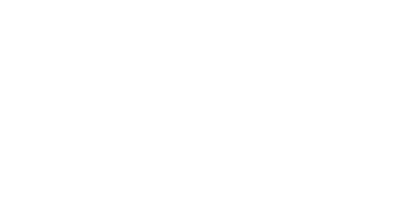 NSO logo